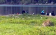 Зона за отдих "Панчарево" предлага места за пикник, гребна база, хотели, ресторанти, детски кътове, водоем за платен риболов, минерален басейн, фитнес и спа центрове, зоокът, free wifi зона. София, Самоковско шосе, между Панчарево и Кокаляне © Панчарево - Гордостта на София, Всички права запазени!