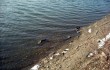 Pancharevo Lake, Sofia  © Pancharevo-Bg.Com!