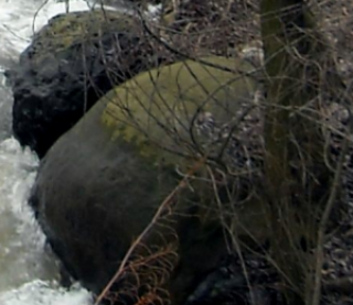 Витошки сиенит в поречието на река Бистрица