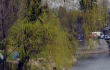vrabnitsa1 vrabnitsa1
