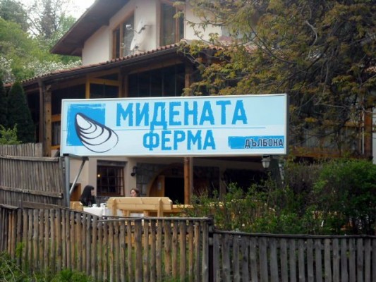 Мидена ферма "Дълбока" 1191 София, кв. Панчарево, бул. Самоковско шосе 258 *Тел.: (02) 992 16 11; GSM: 0898 911 373 *e-mail: sofia@dalboka.bg *web: http://www.dalboka.com © Панчарево - Гордостта на София, Всички права запазени! Мидена ферма "Дълбока" Панчарево